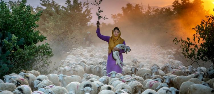 Woman standing surrounded by herd of animals