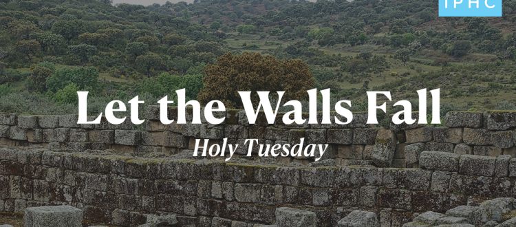 HolyTuesday