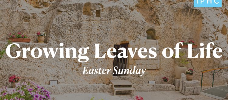 Easter Sunday