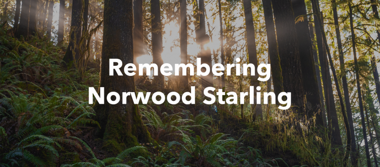 Norwood Starling